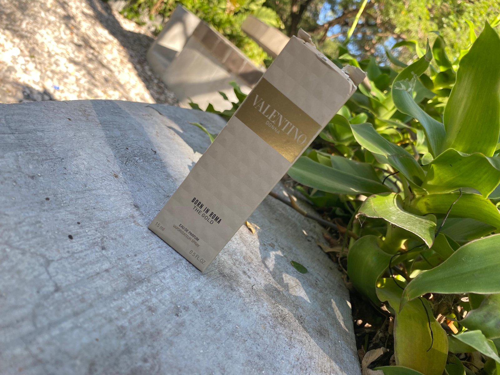 VALENTINO Donna (miniature)