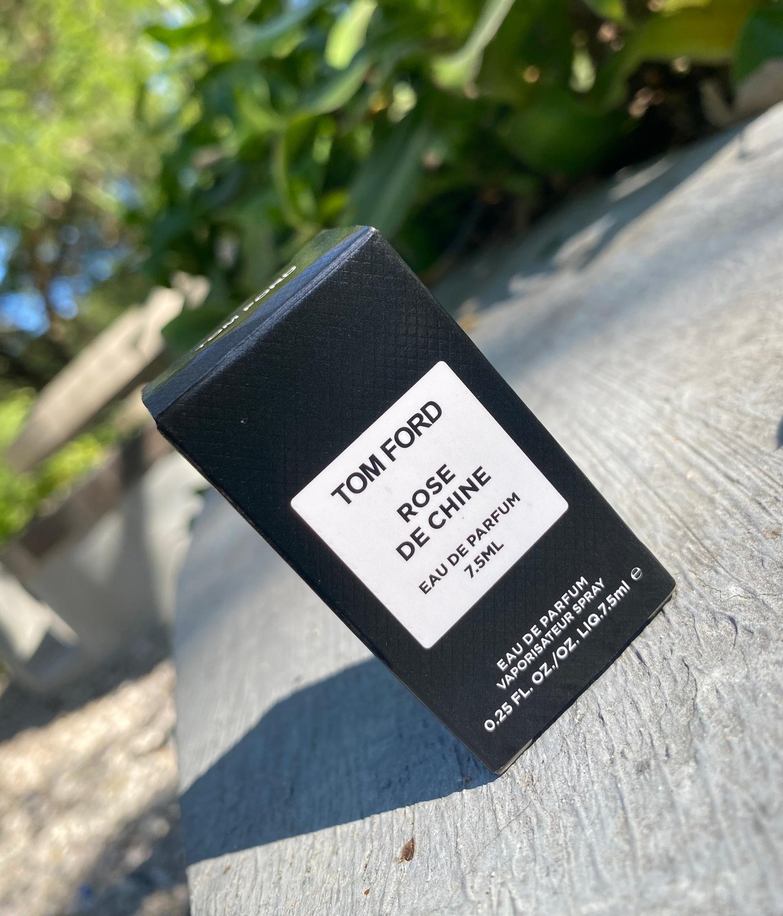 Tom Ford (miniature)